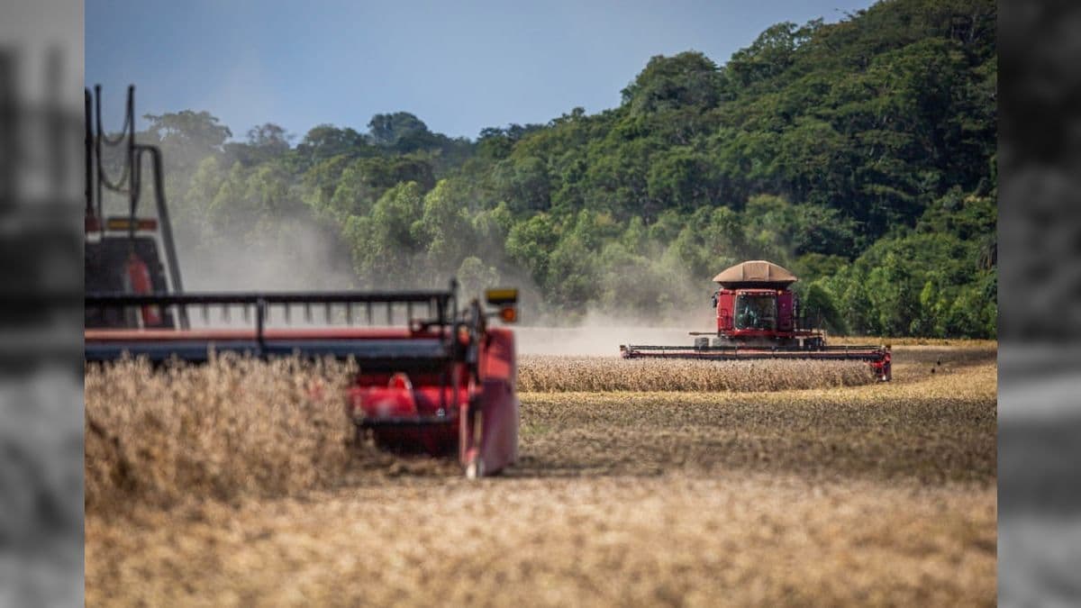 As lavouras têm um faturamento previsto em R$ 835,5 bilhões, com destaque para a soja
