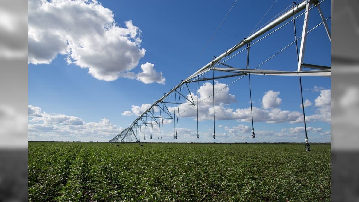Plano Safra oferece até R$ R$ 2,37 bi para projetos de irrigação