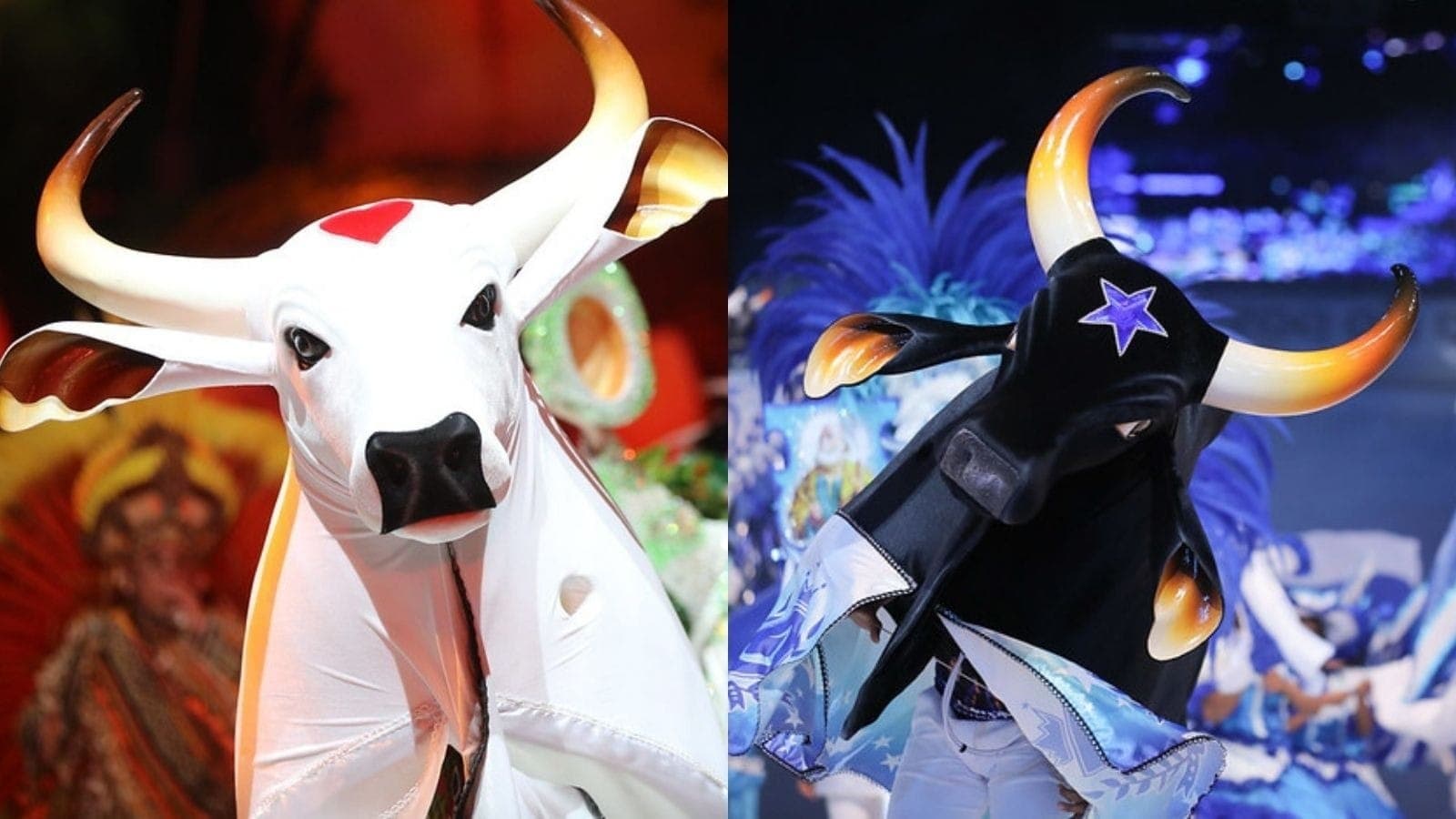 Garantido e Caprichoso no Festival de Parintins