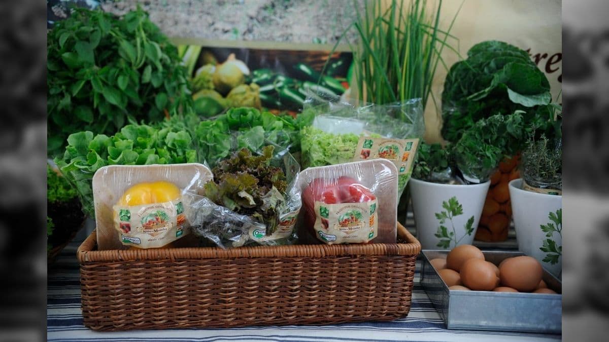 Oferta de alimentos deve crescer 11%, mas a demanda aumenta 13% em 10 anos