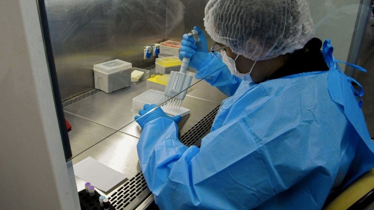 Novo remédio para hepatite C poderá baixar custo do tratamento no SUS