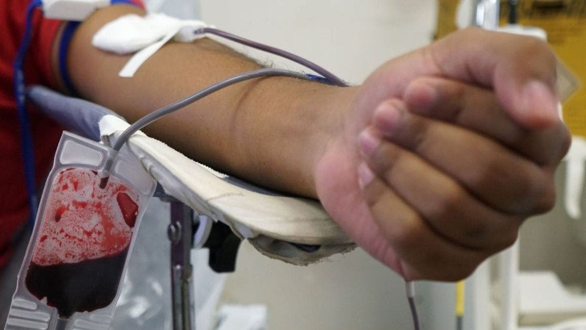 Contaminação de transfusões contaminadas com dengue