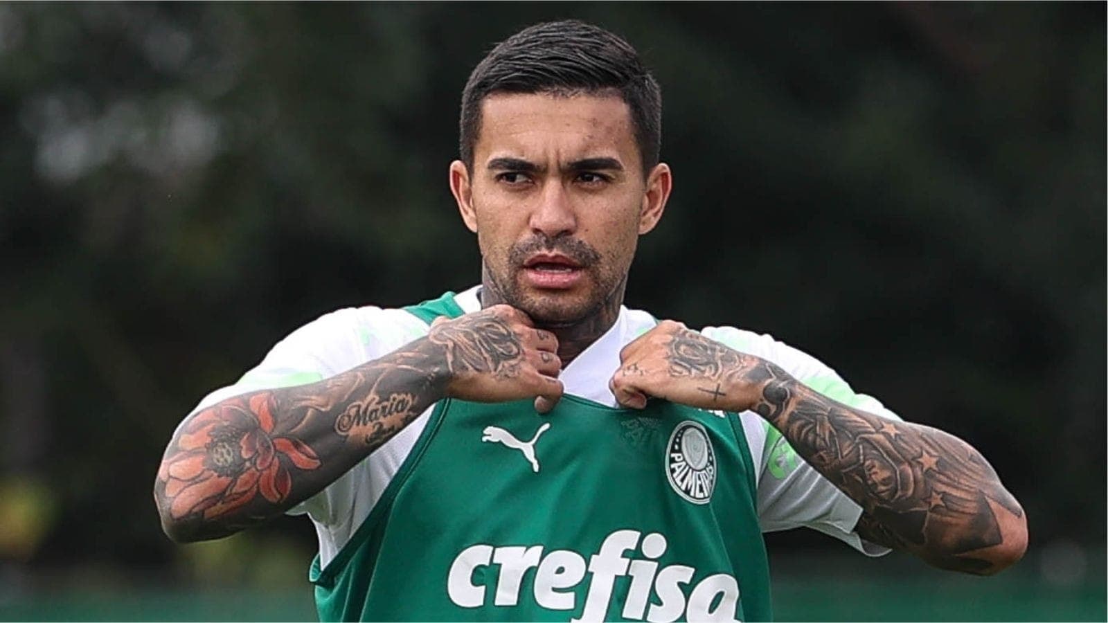 Dudu vira desfalque para o Palmeiras na temporada