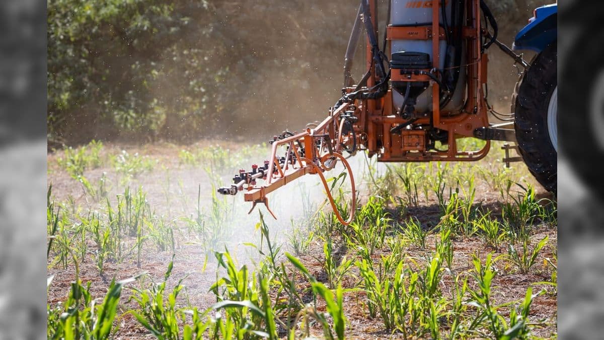 Em 2023, Brasil já liberou o registro de 214 agrotóxicos