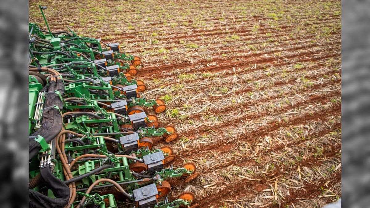 Plantio da soja em Mato Grosso do Sul está atrasado