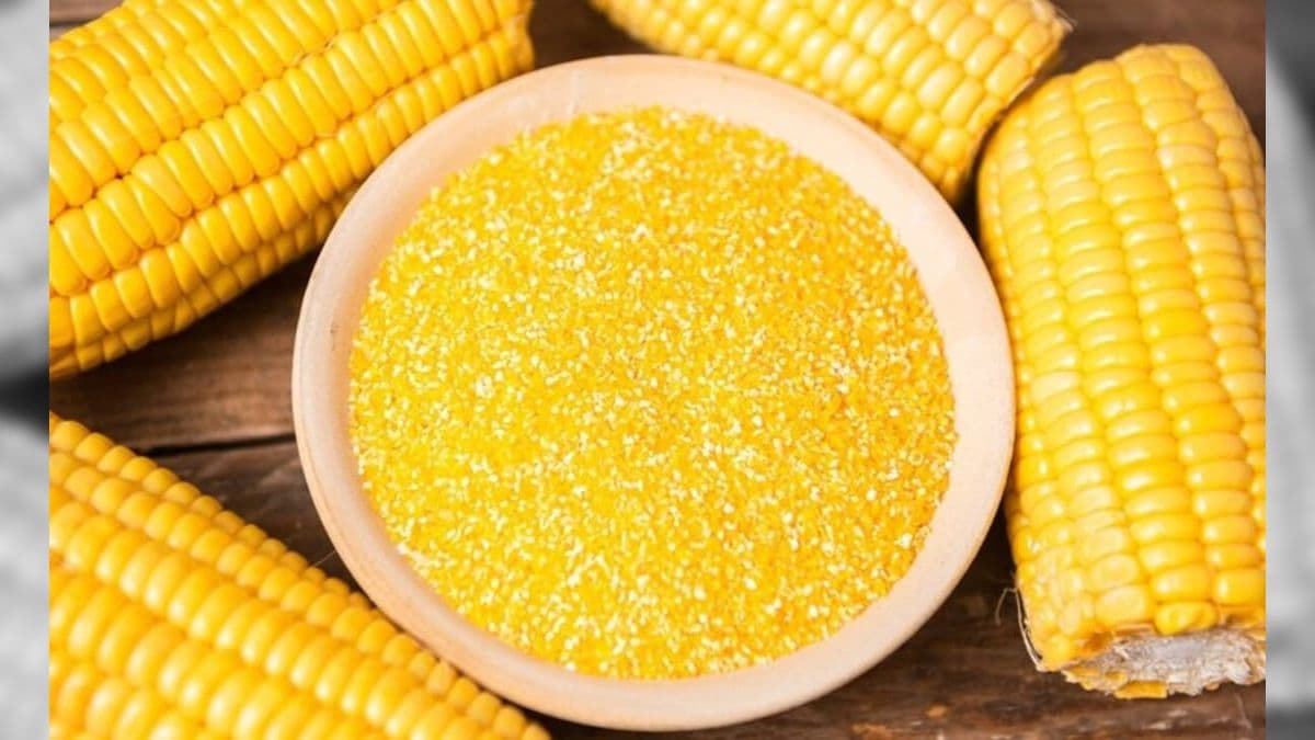 Governo anuncia liberação dos mercados de subprodutos de etanol de milho