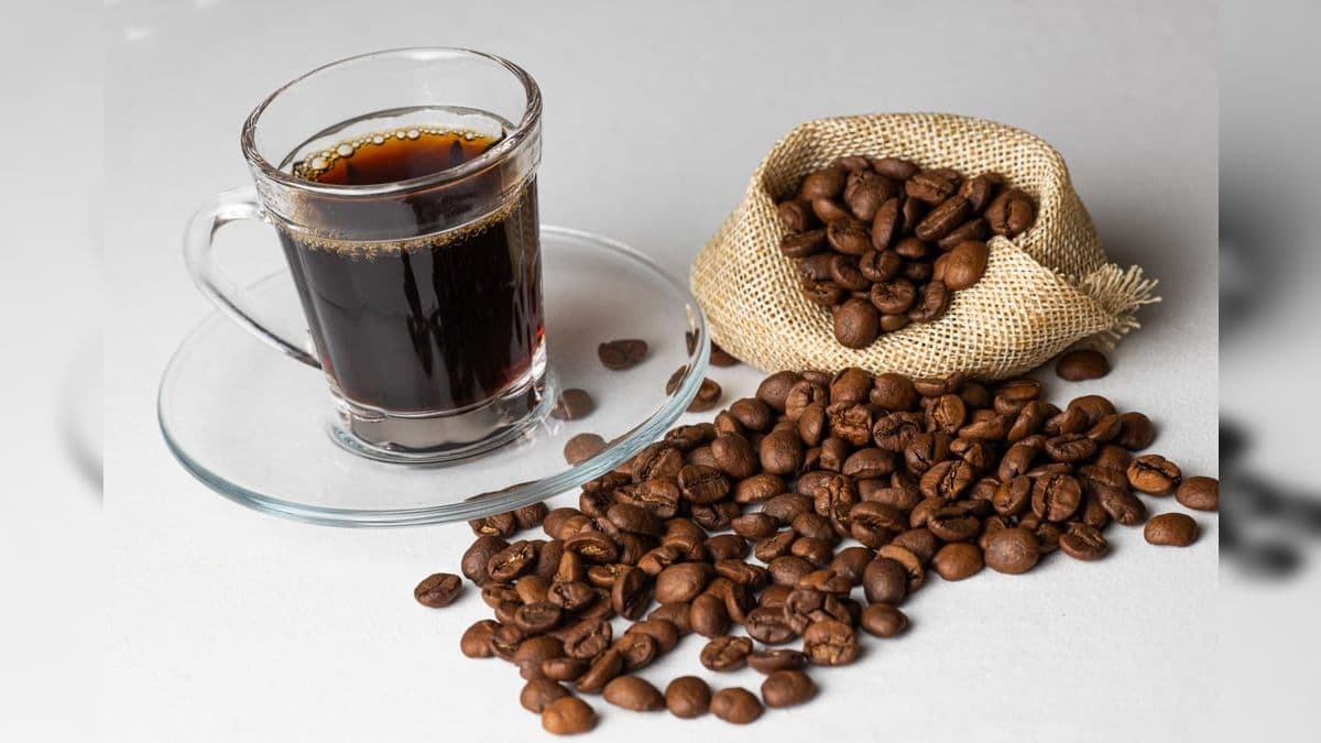 Consumo de café no mundo deve aumentar 2,2% em 2023/2024