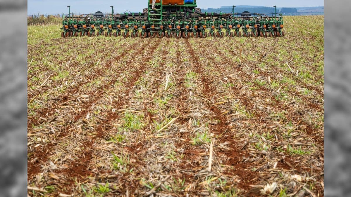 Por causa do calor, prazo da semeadura da soja é prorrogado
