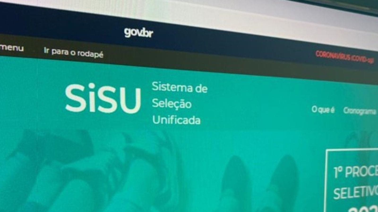 Sisu