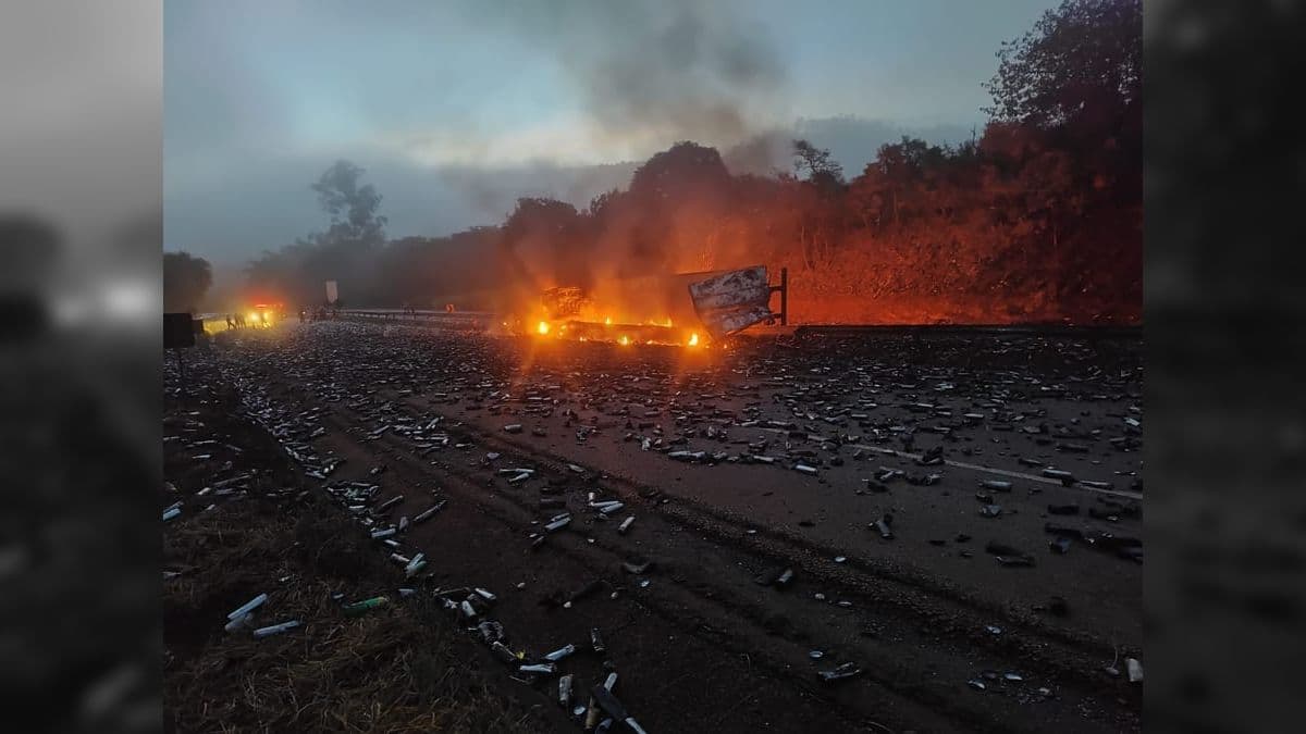 a carreta estava carregada com frascos de inseticidas e tombou no km 533