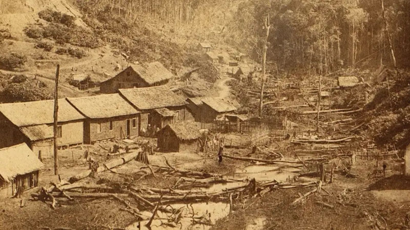Imigração italiana no Brasil completa 150 anos