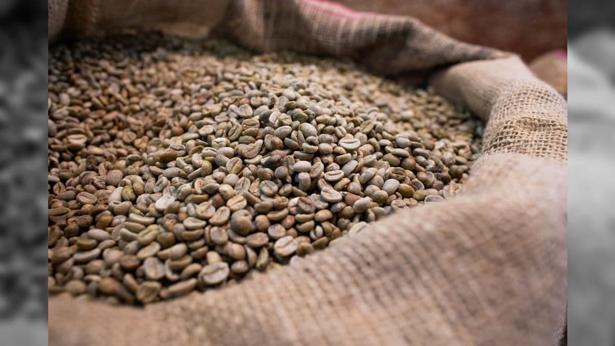 Zâmbia anuncia abertura do seu mercado para cafés brasileiros