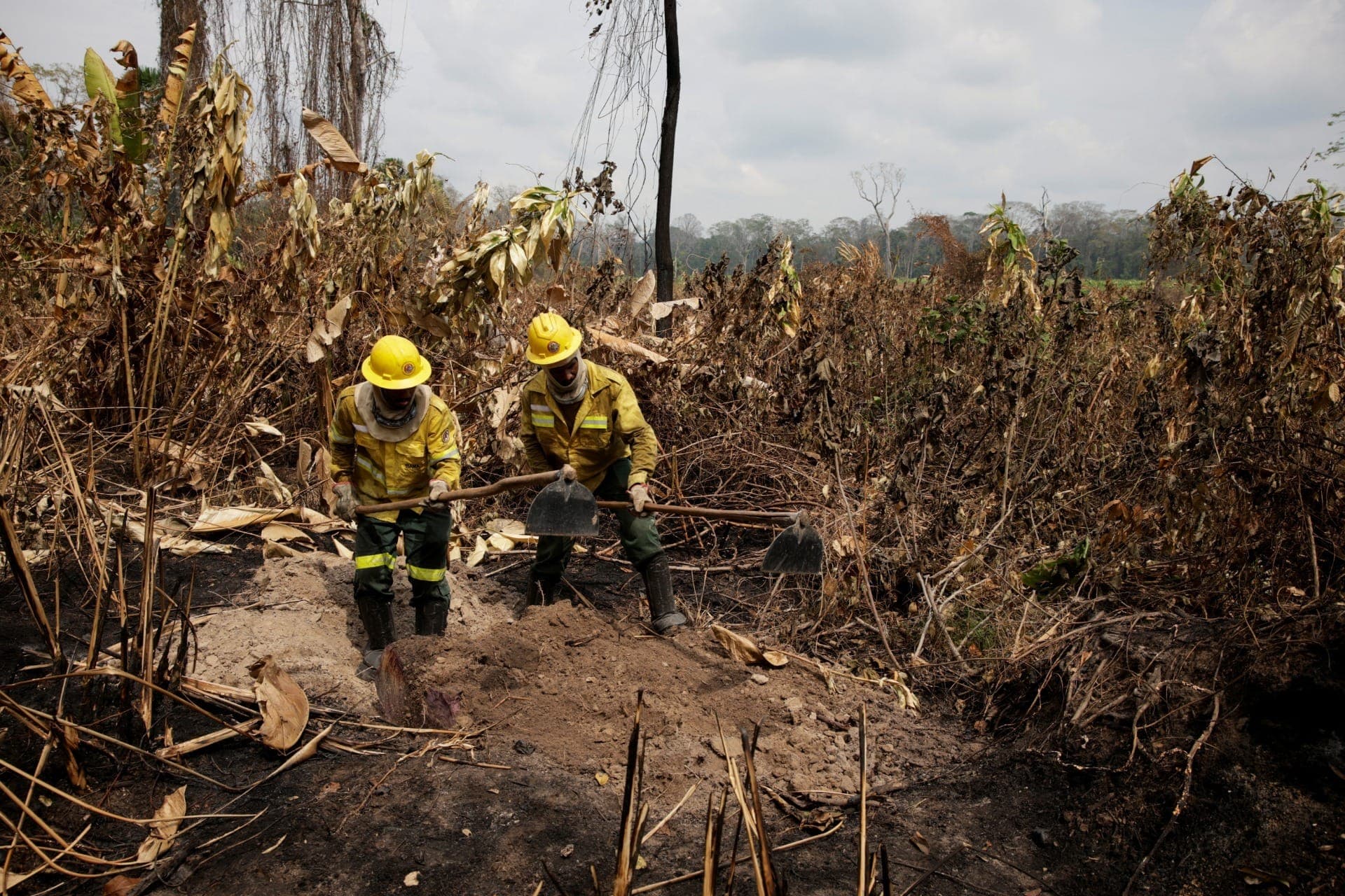 Roraima registra mais de dois mil focos de queimadas em fevereiro