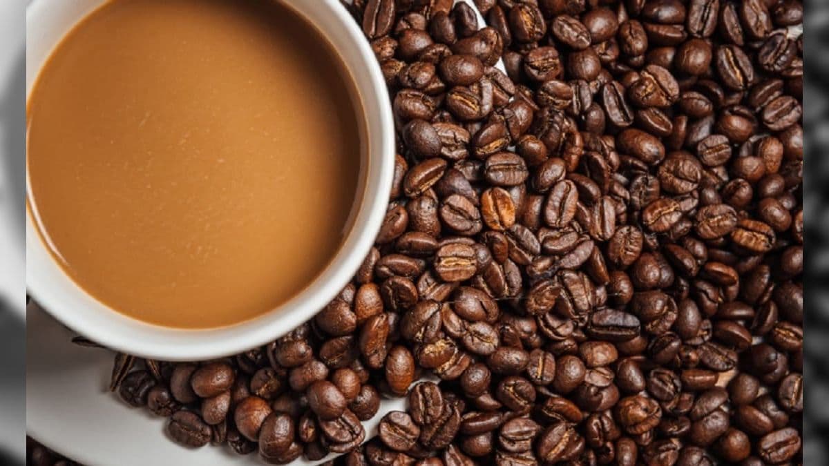 Brasil exporta 3,6 milhões de sacas de café em fevereiro