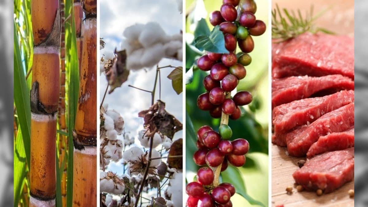 Exportações do agronegócio batem novo recorde para os meses de fevereiro