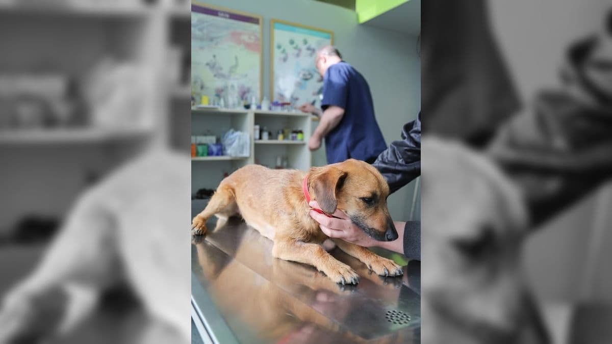 Diagnóstico precoce é melhor caminho para aumentar longevidade e manter qualidade de vida