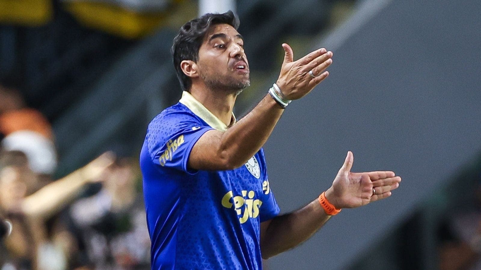 Abel durante jogo de ida da final paulista entre Santos e Palmeiras, na Vila Belmiro
