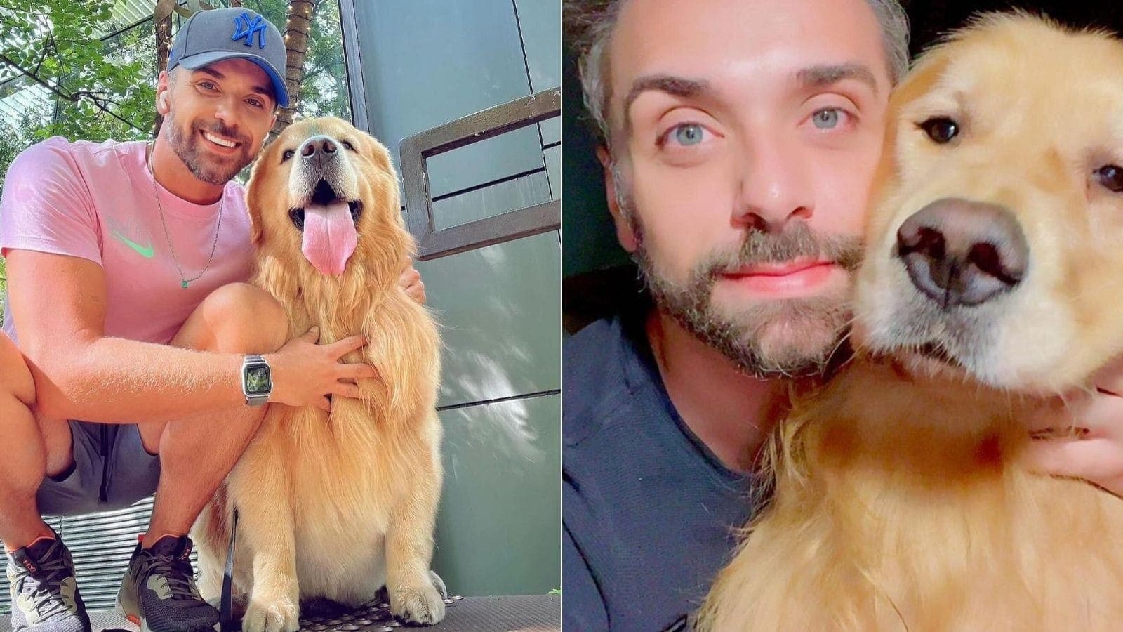 Cachorro Joca morre após falha no transporte aéreo da Gol