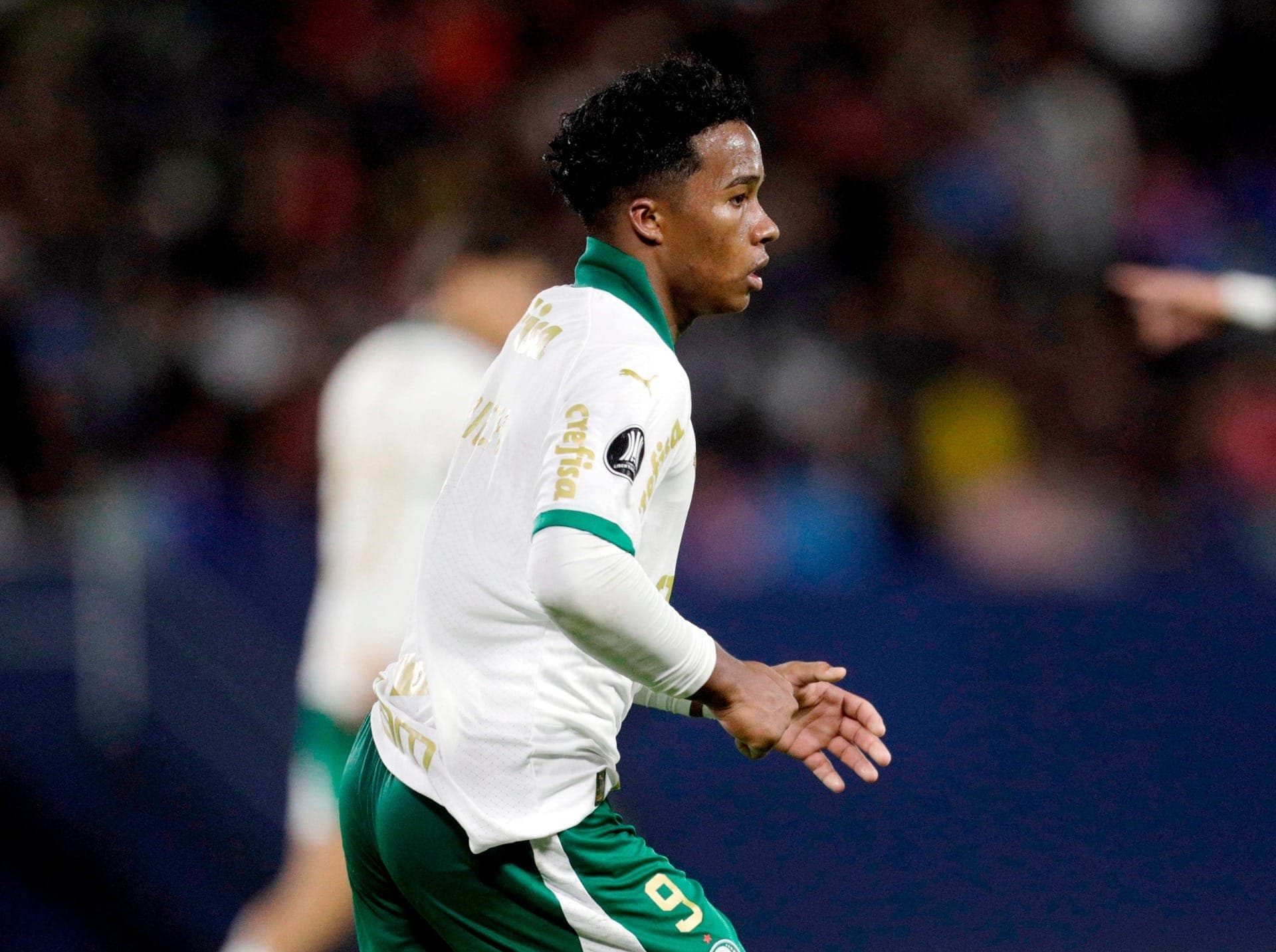 Endrick chegou ao 20º gol pelo Palmeiras