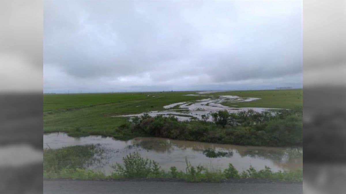Áreas de lavouras foram atingidas pelas chuvas no RS