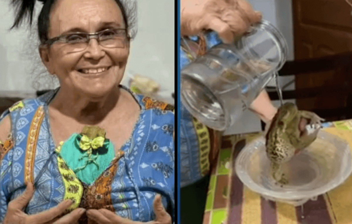 Idosa adota sapa que frequentava a sua casa no Rio Grande do Norte