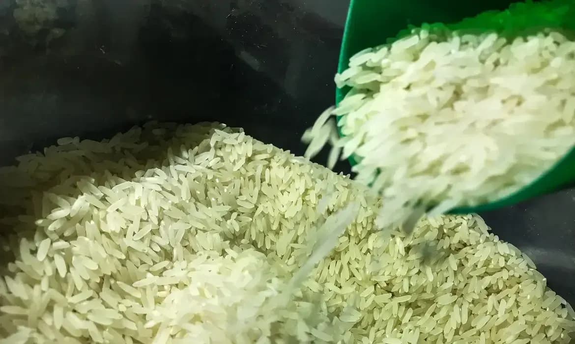 Deputados pressionam por CPI que investiga compra de arroz importado
