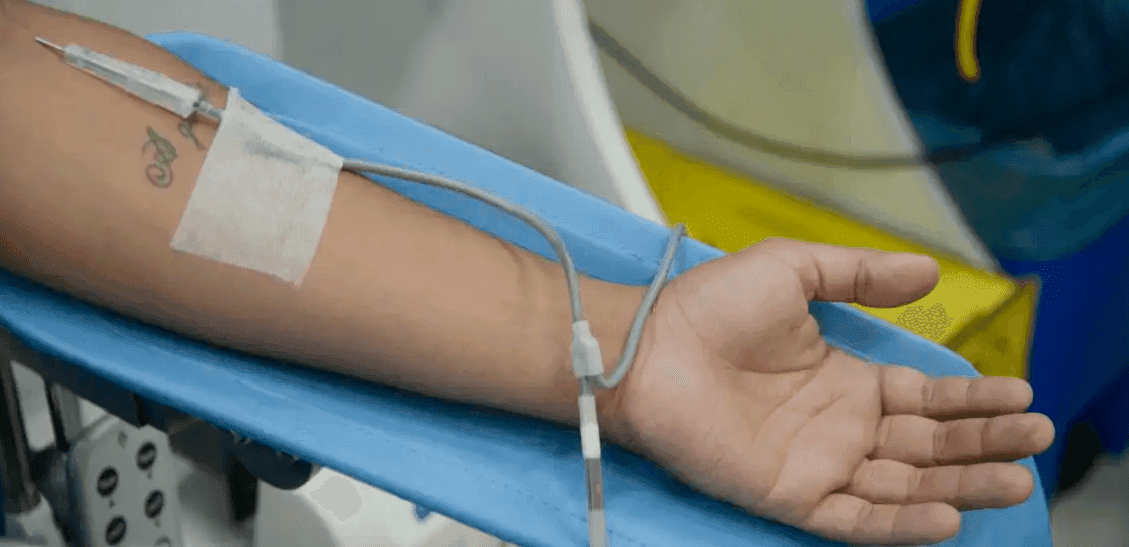 Junho Vermeho: "Cada doação de sangue salva quatro vidas", afirma hematologista
