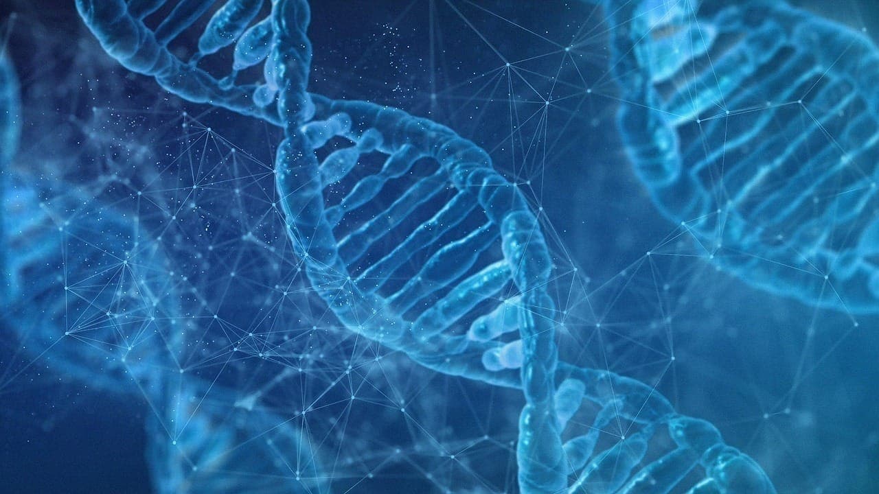 Oncogenética pode ser uma poderosa ferramenta na prevenção e tratamento do câncer Fico à disposição.