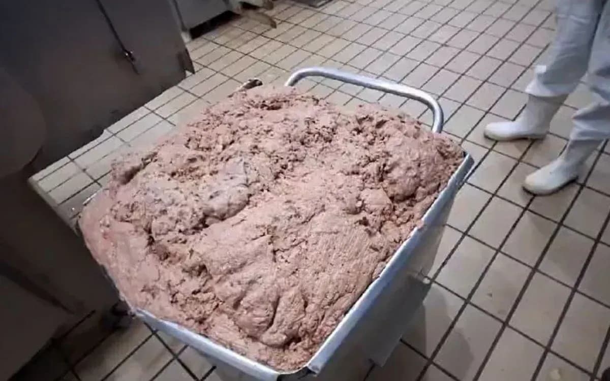 Peritos afirmam que alimento estava impróprio para consumo