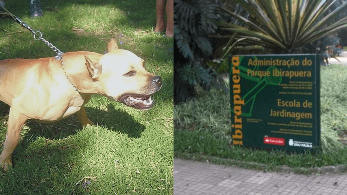 Dois casos de mordidas por animais foram registrados no Parque Ibirapuera ( Foto: Agência Brasil e Urbi)