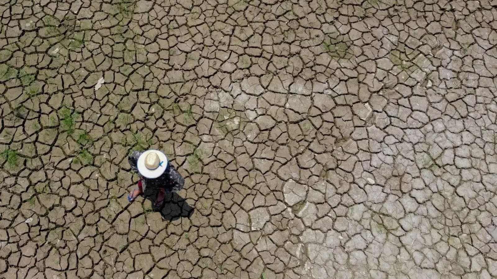 Estiagem atinge o estado do Acre