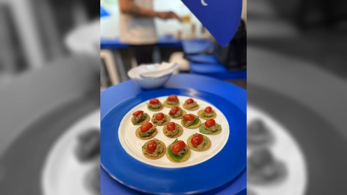 Comidas naturais e saudáveis para pets