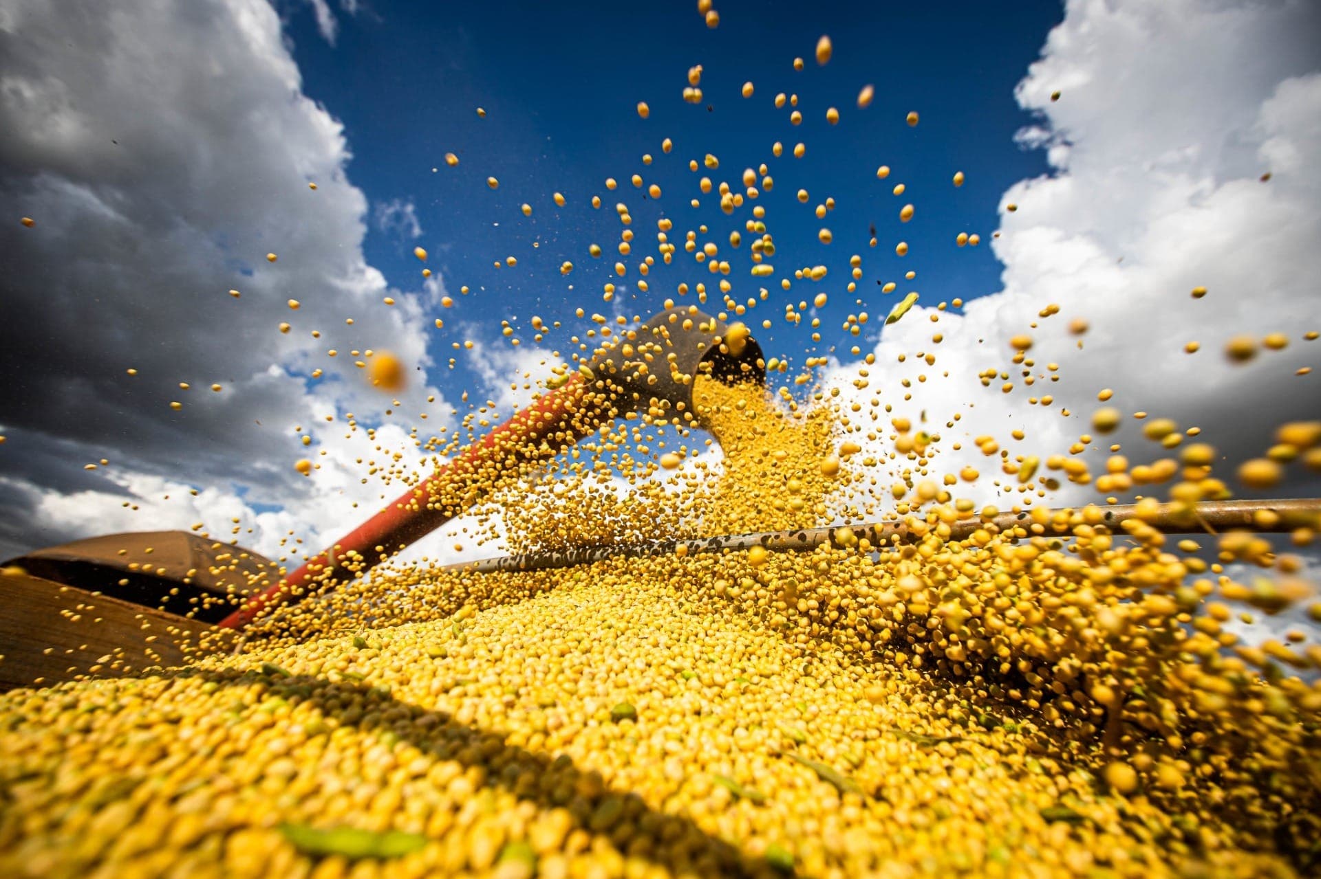Agroconsult projeta safra acima de 170 milhões de toneladas no Brasil