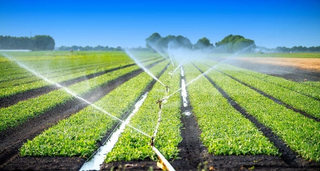 Sensor evita desperdício de água na irrigação