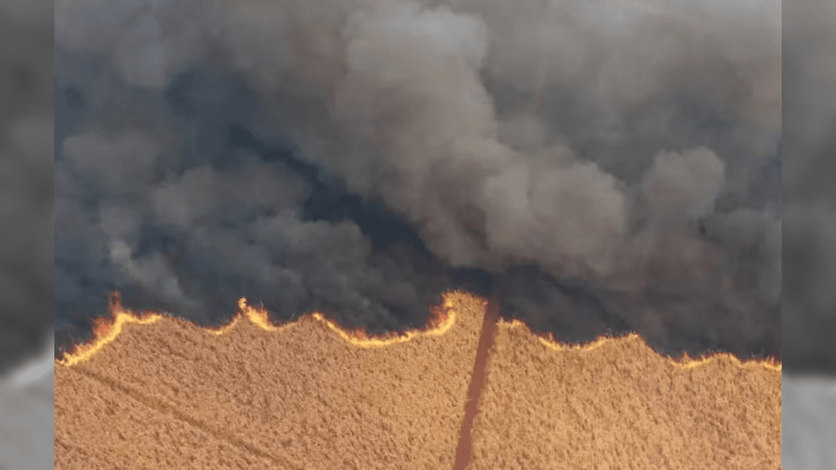 Até o momento, a onda de incêndios causou um prejuízo de R$ 1 bilhão aos produtores rurais do estado