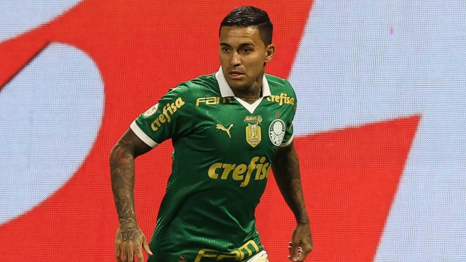Dudu, atuando pelo Palmeiras, em 2024