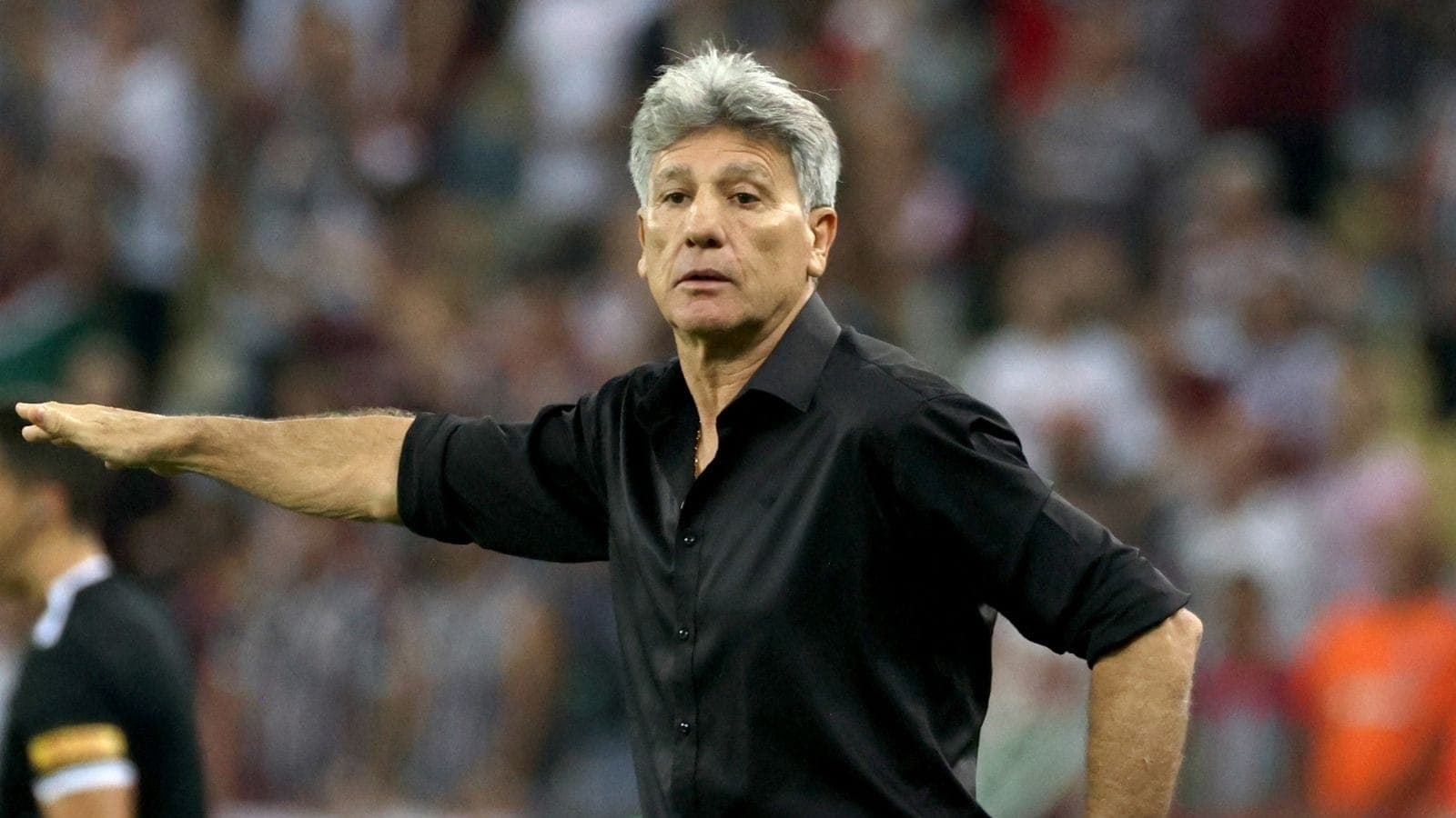 Diretoria já teria iniciado negociações com Renato, sem clube desde dezembro