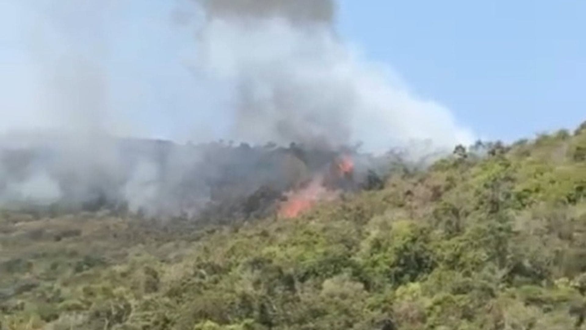 Incêndio de grandes proporções atinge área de mata em Cunha