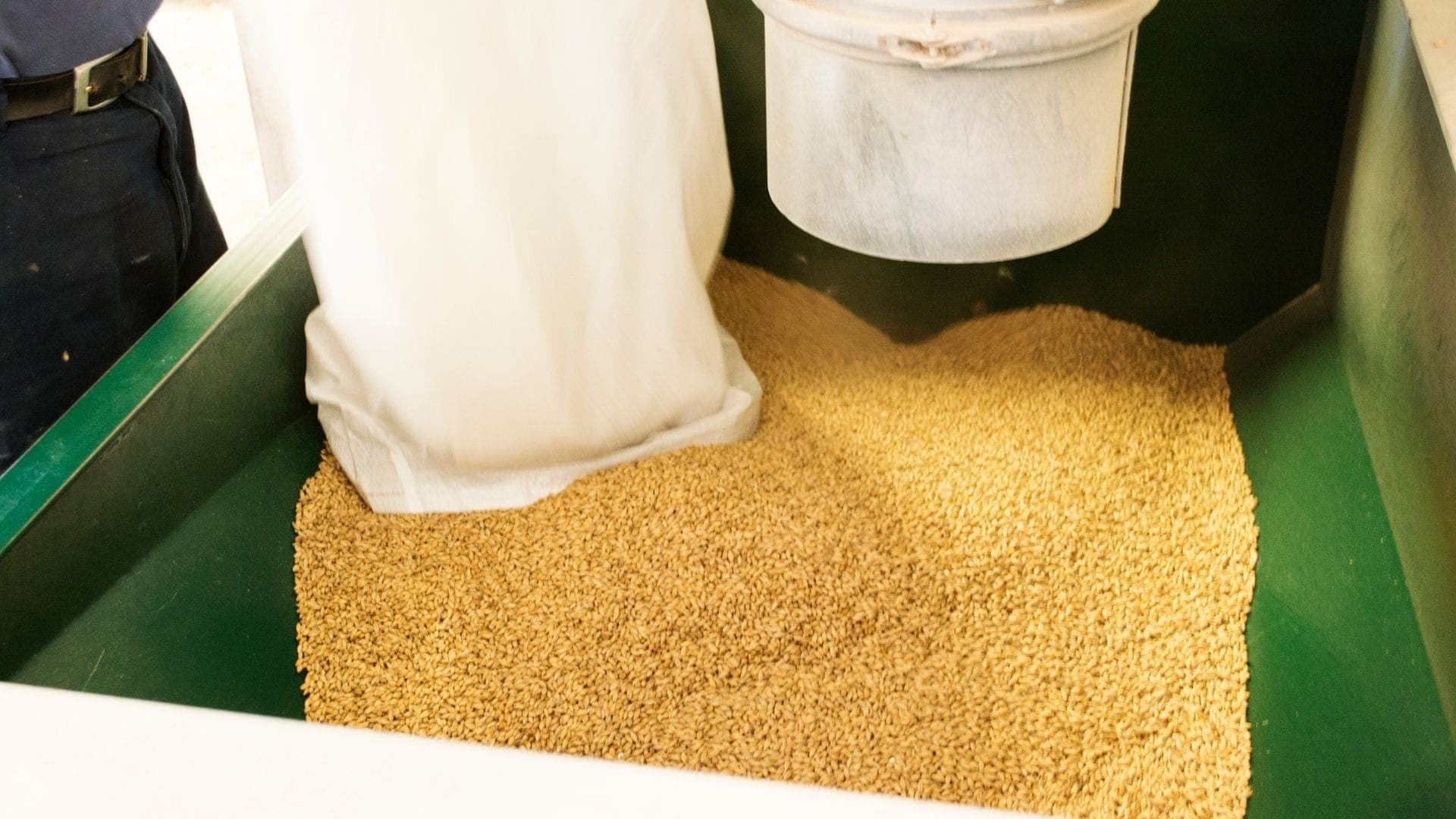 Dried Distiller Grains são subprodutos da agroindústria