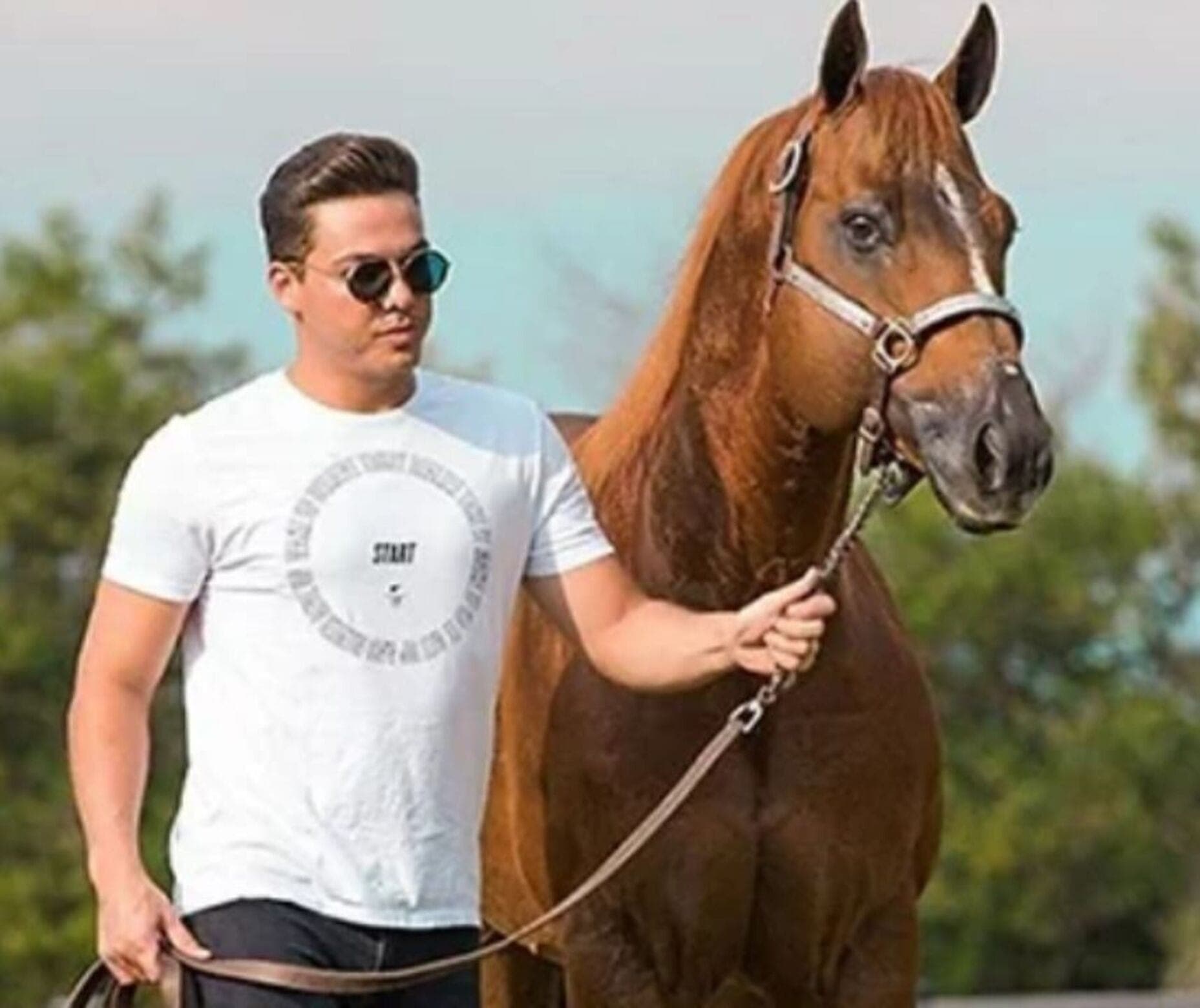 Wesley Safadão é criador de cavalos Quarto de Milha