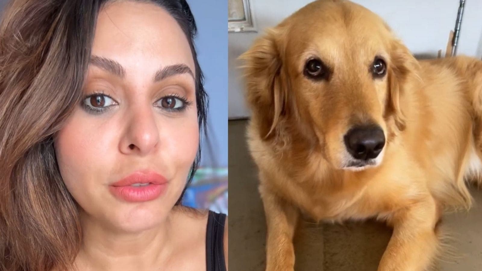 Alinne Rosa tem um golden retriever chamado Bolo de Rolo