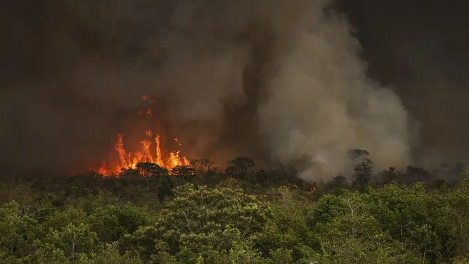 Queimadas em Brasília