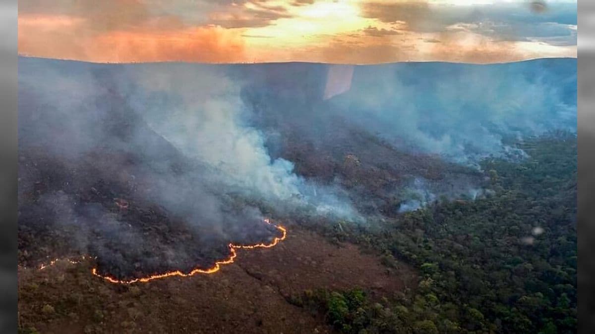 As chamas começaram em uma montanha dentro da reserva e se expandiram para o restante do Parque.