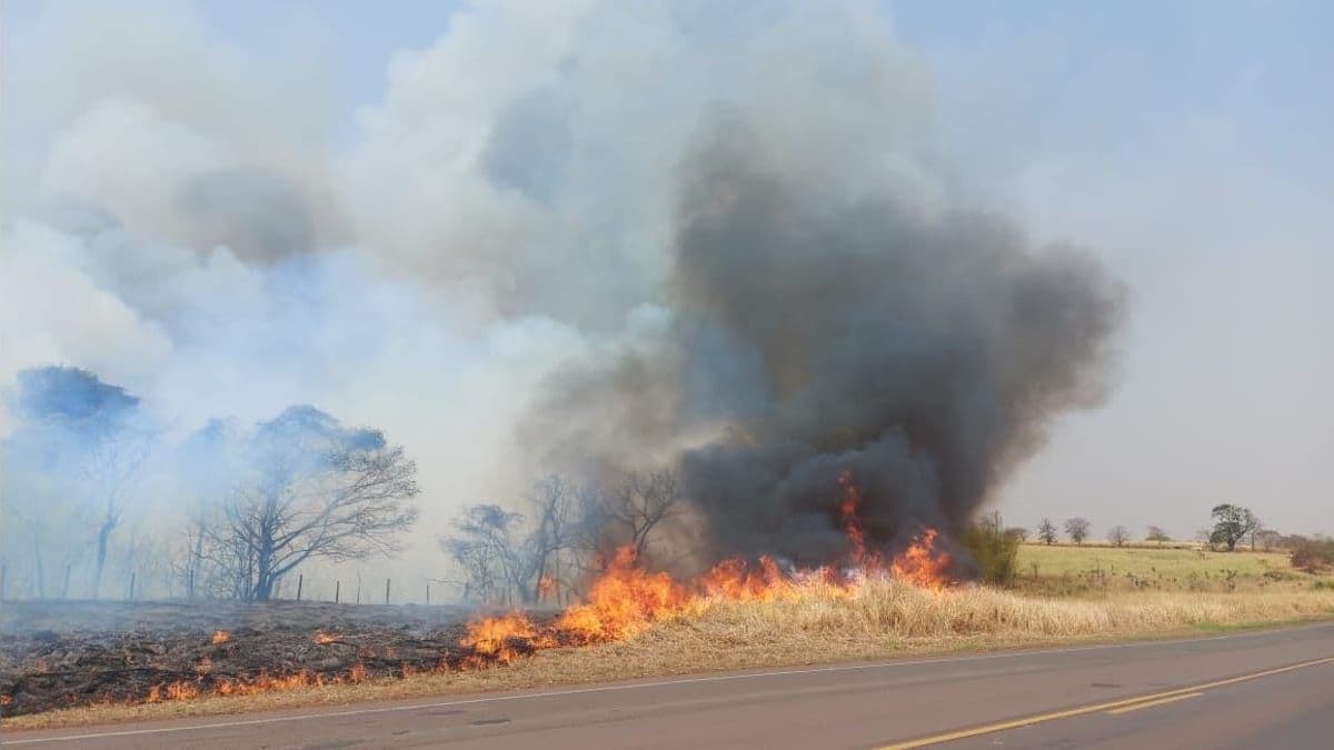 Cresce o número de presos suspeitos de provocar incêndios criminosos em SP