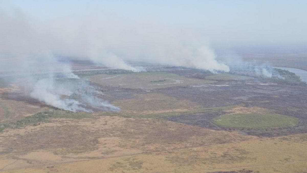 PF faz operação para investigar incêndios no Pantanal