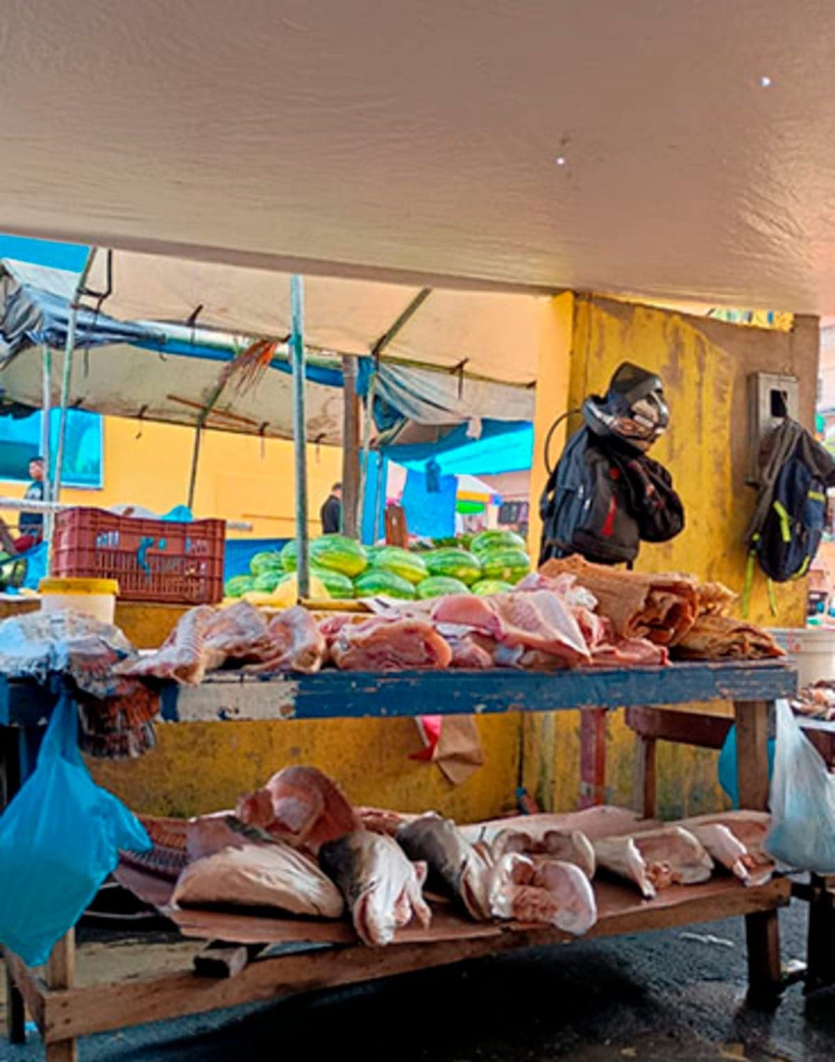 Carne de boto e pirarucu à venda em Tefé (AM)