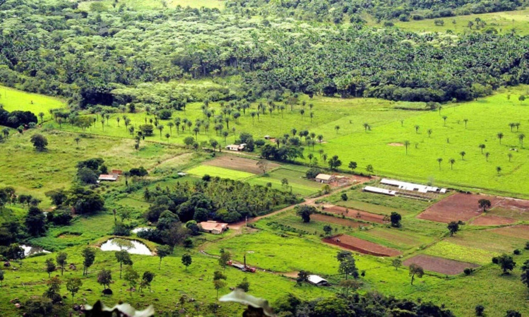 Familias sonham em ter uma propriedade rural