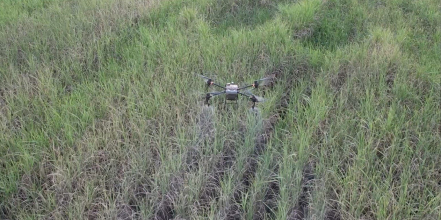 Mercado de drones em alta