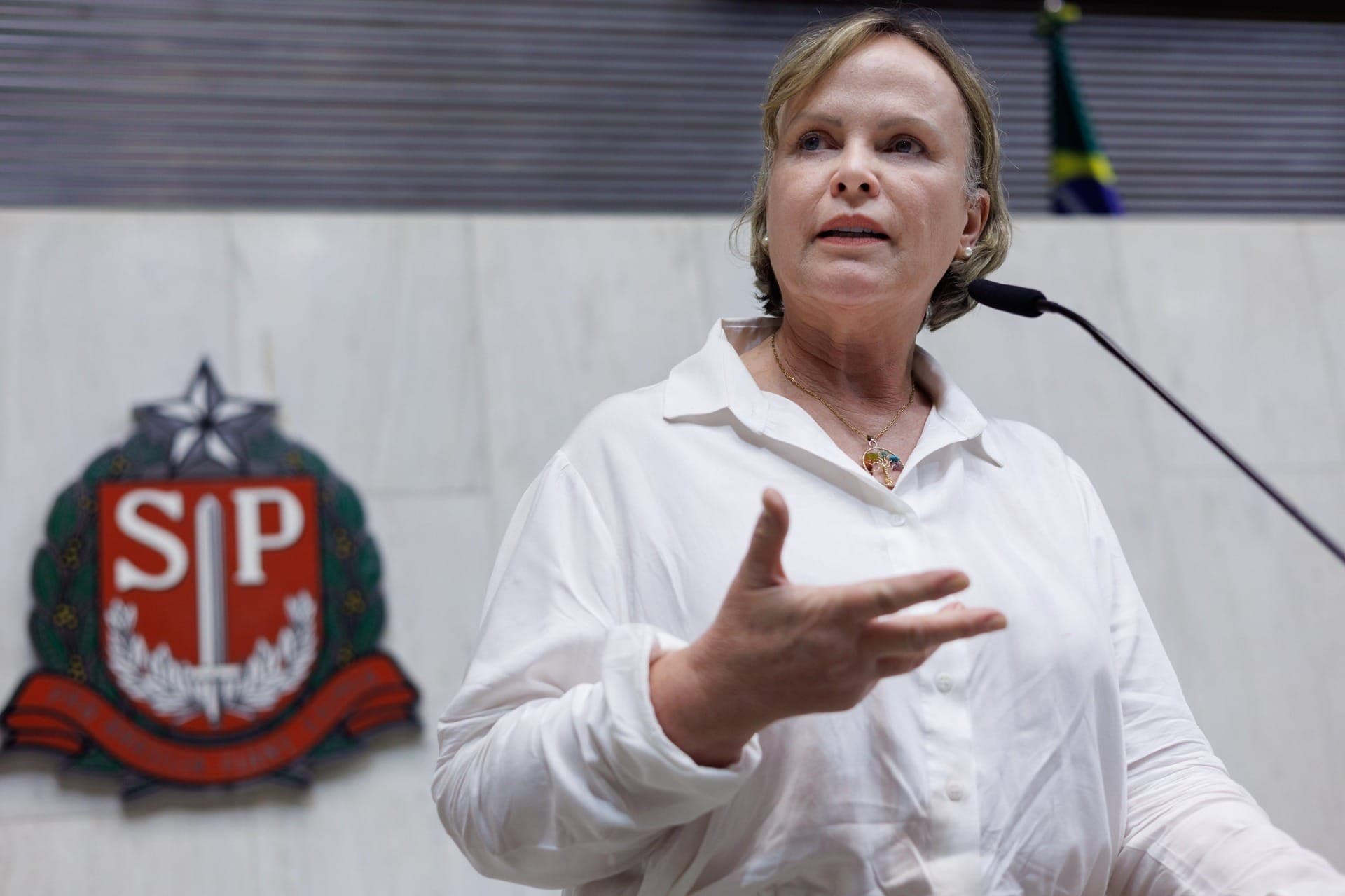 Deputada Ana Perugini propõe distanciamento em pulverizações