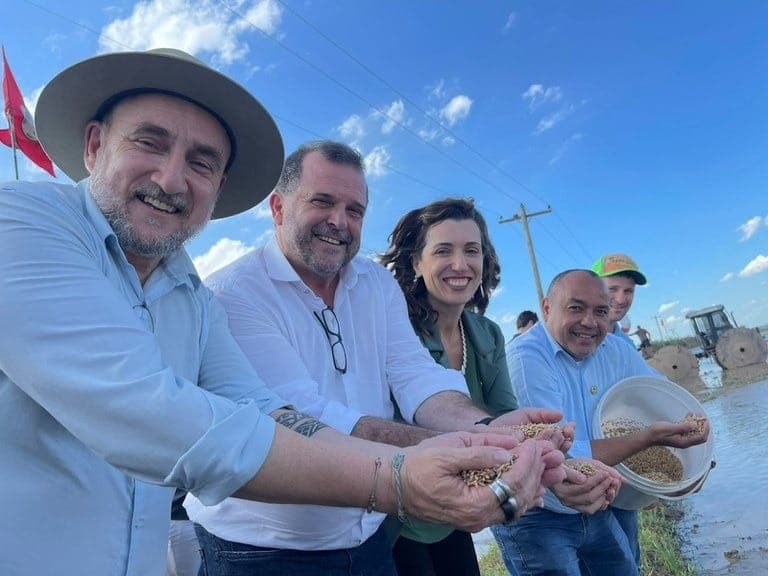 Plantio do arroz está liberado no Rio Grande do Sul